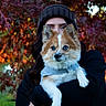 dog, person, autumn, fall_foliage, leaves, outdoor, blue_eyes, knit_hat, sweater, pet, nature, portrait, holding, cute, fluffy, fall_colors, warm_clothing, canine, animal, human