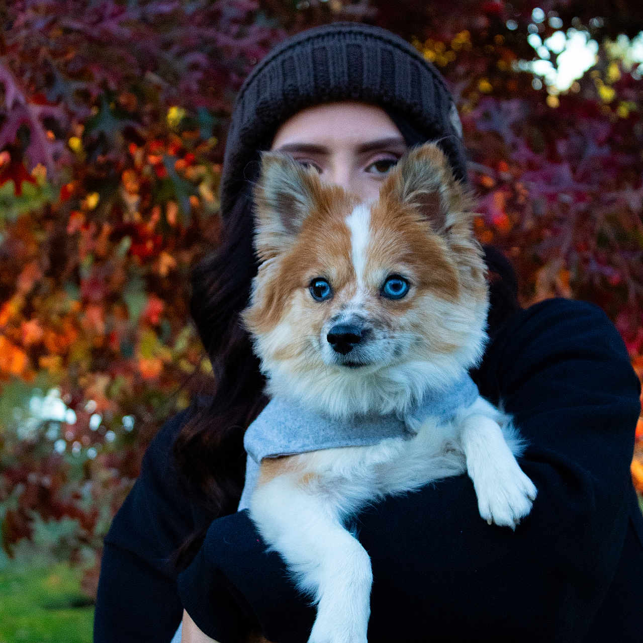 Bowie