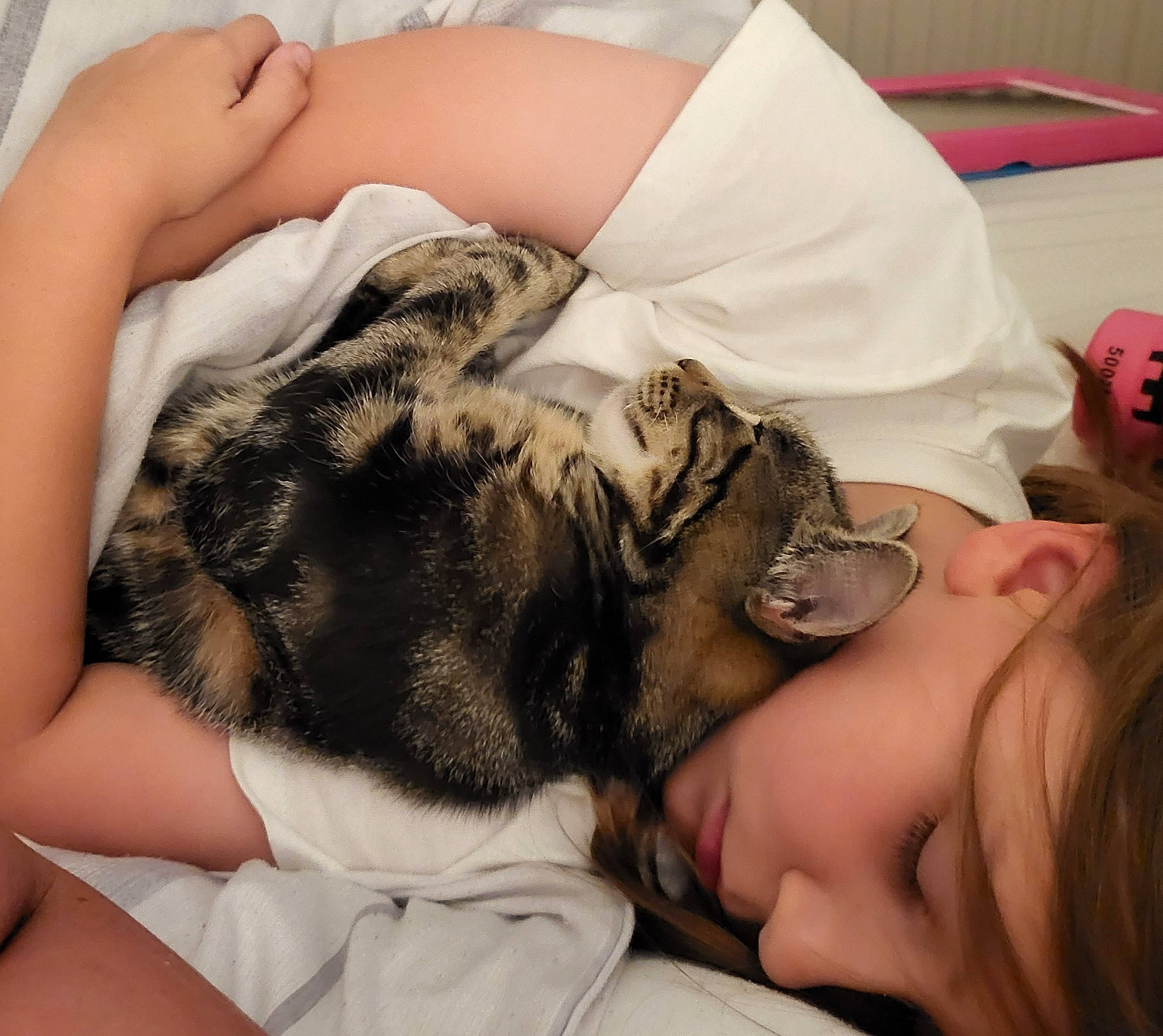 Alex is registered to the contest to win money with this photo: beard, comfort, companion_dog, dog_breed, dress, eyelash, eyewear, fawn, felidae, finger, gesture, glasses, hand, happy, muscle, nail, skin, sunglasses, thigh, vision_care