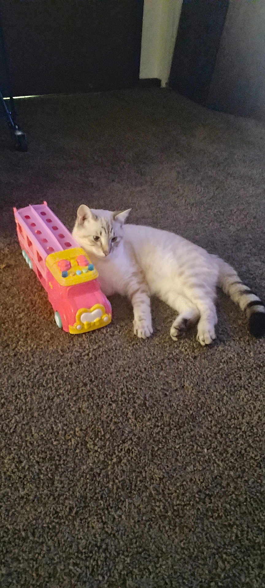 Snowball
