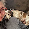 person, dog, glasses, hoodie, couch, window_blinds, indoor, resting, brown, white, spotted_dog, relaxed, shoulder, casual, comfort, pet, sleeping_dog, cozy, home, portrait