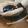 Tater Tot joined the competition — help win amazing prizes! dog, basset_hound, pet, indoor, furniture, rocking_chair, blanket, cozy, relaxed, carpet, window, resting, canine, animal, ears, snout, sleepy, home, comfort, paw