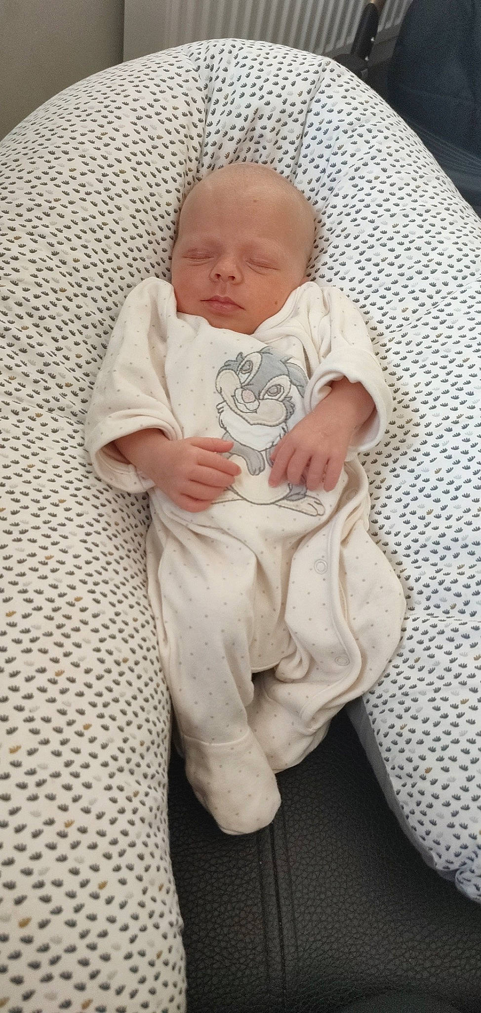 Yliana participe au concours pour gagner de l'argent avec cette photo : arm, baby, baby_products, baby_safety, baby_sleeping, baby_toddler_clothing, bedding, child, comfort, fur, gesture, hand, linens, pattern, person, room, sitting, sleeve, t_shirt, thumb