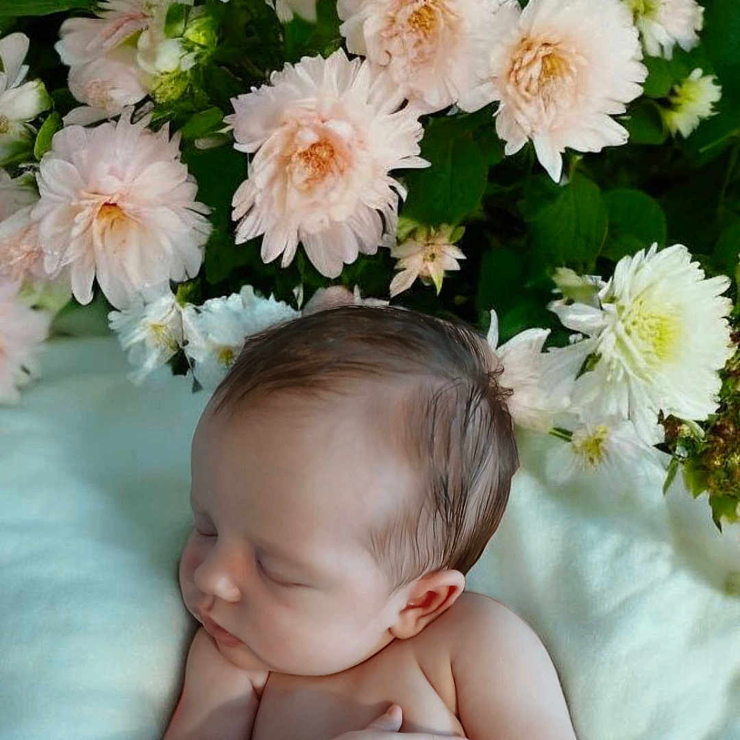 Lynne Rachel Allison joined the competition — help win amazing prizes! anemone, baby, bodypart, dahlia, daisy, face, flower, flowerarrangement, flowerbouquet, head, herbal, herbs, newborn, person, petal, photography, plant, portrait, pottedplant, rose