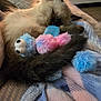 Mya is registered to the contest to win money with this photo: cat, sleeping, toy, fuzzy_toy, blanket, indoor, cozy, fur, pet, relaxing, caterpillar_toy, soft, home, television, plant, furniture, closeup, cute, animal, resting