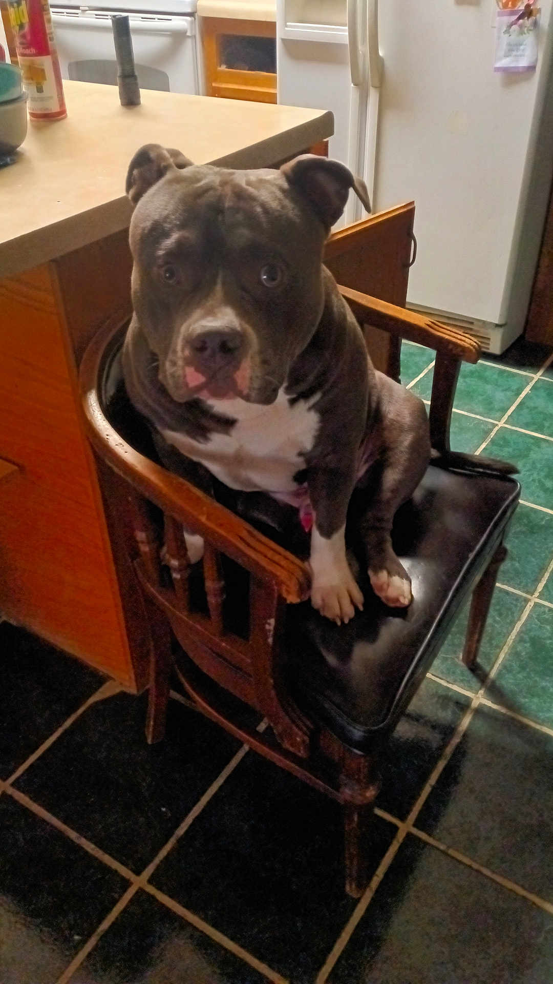 Pretty-Boy Rallo