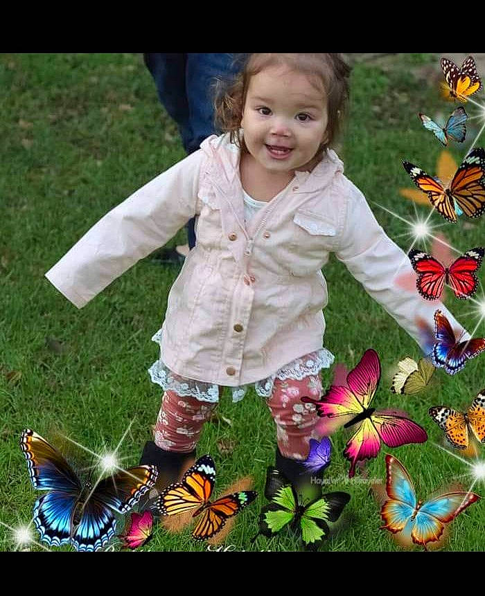 Hayzel joined the competition — help win amazing prizes! arthropod, baby_toddler_clothing, botany, butterfly, flower, grass, green, happy, insect, joy, leaf, moths_and_butterflies, people_in_nature, person, petal, pink, plant, pollinator, product, smile