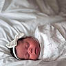 Arai is registered to the contest to win money with this photo: baby, blanket, bow, child, cozy, cute, face, headband, indoors, infant, newborn, peaceful, portrait, resting, sleep, sleeping, soft, white, wrapped, young