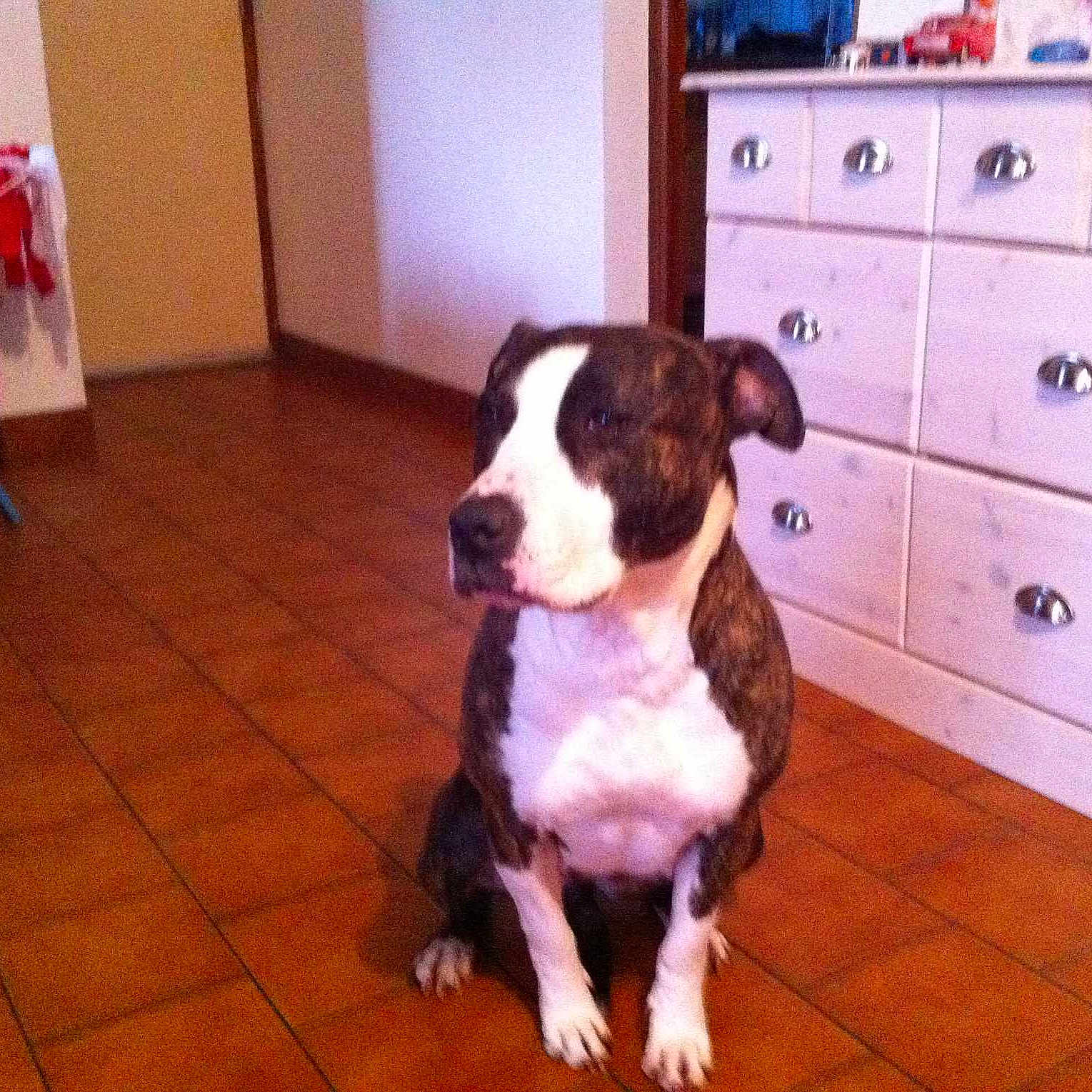 Eva