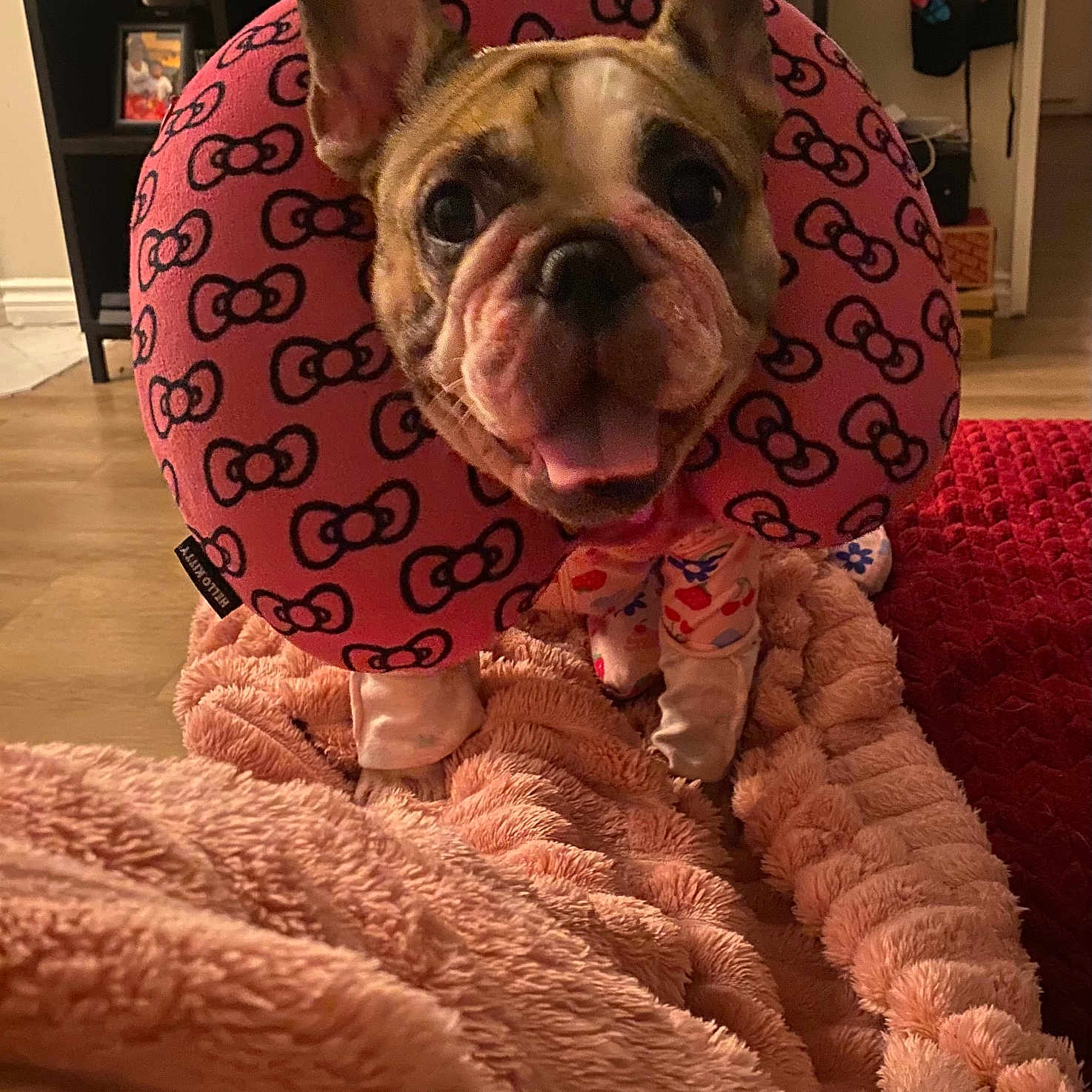 Cute