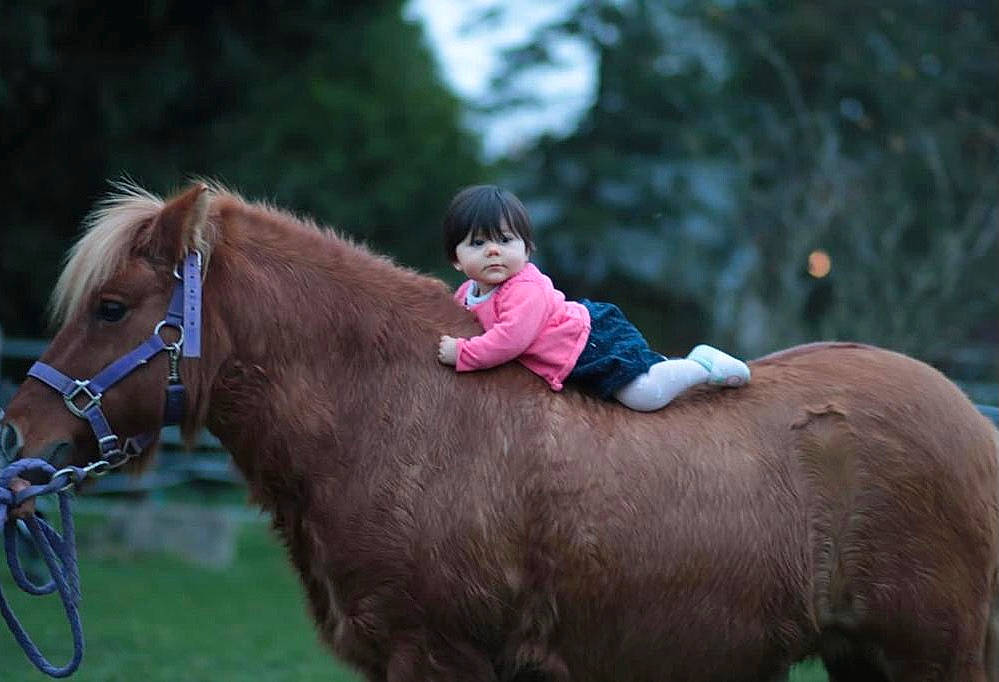 Lea a rejoint le concours — aidez-le/la à gagner de superbes lots ! animal_sports, bit, bridle, child, cool, halter, horse, horse_supplies, horse_tack, human, liver, livestock, mane, person, pink, pony, rein, snout, toddler, vertebrate