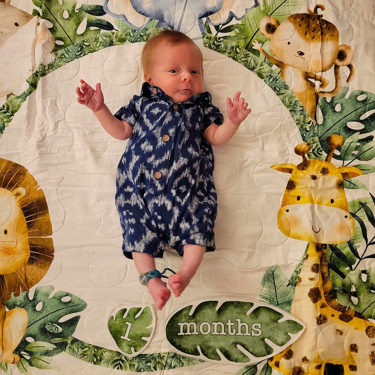 Henry is registered to the contest to win money with this photo: applique, baby, bed, bodypart, clothing, face, finger, furniture, hand, handcuffs, head, homedecor, leaf, linen, pants, pattern, person, photography, portrait, quilt