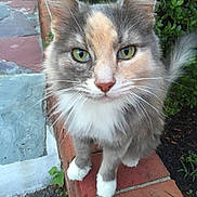 Maya is registered to the contest to win money with this photo: