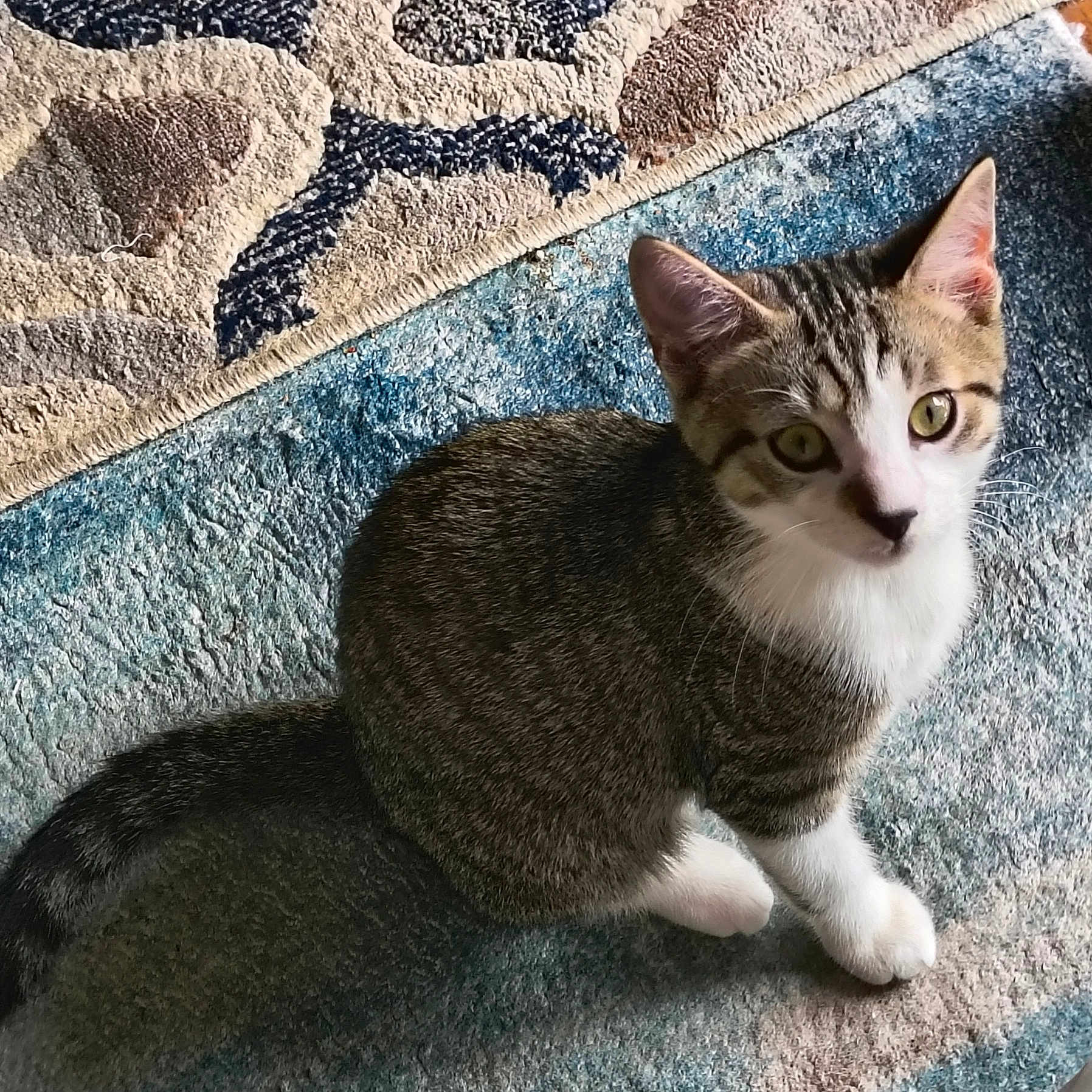 Milo