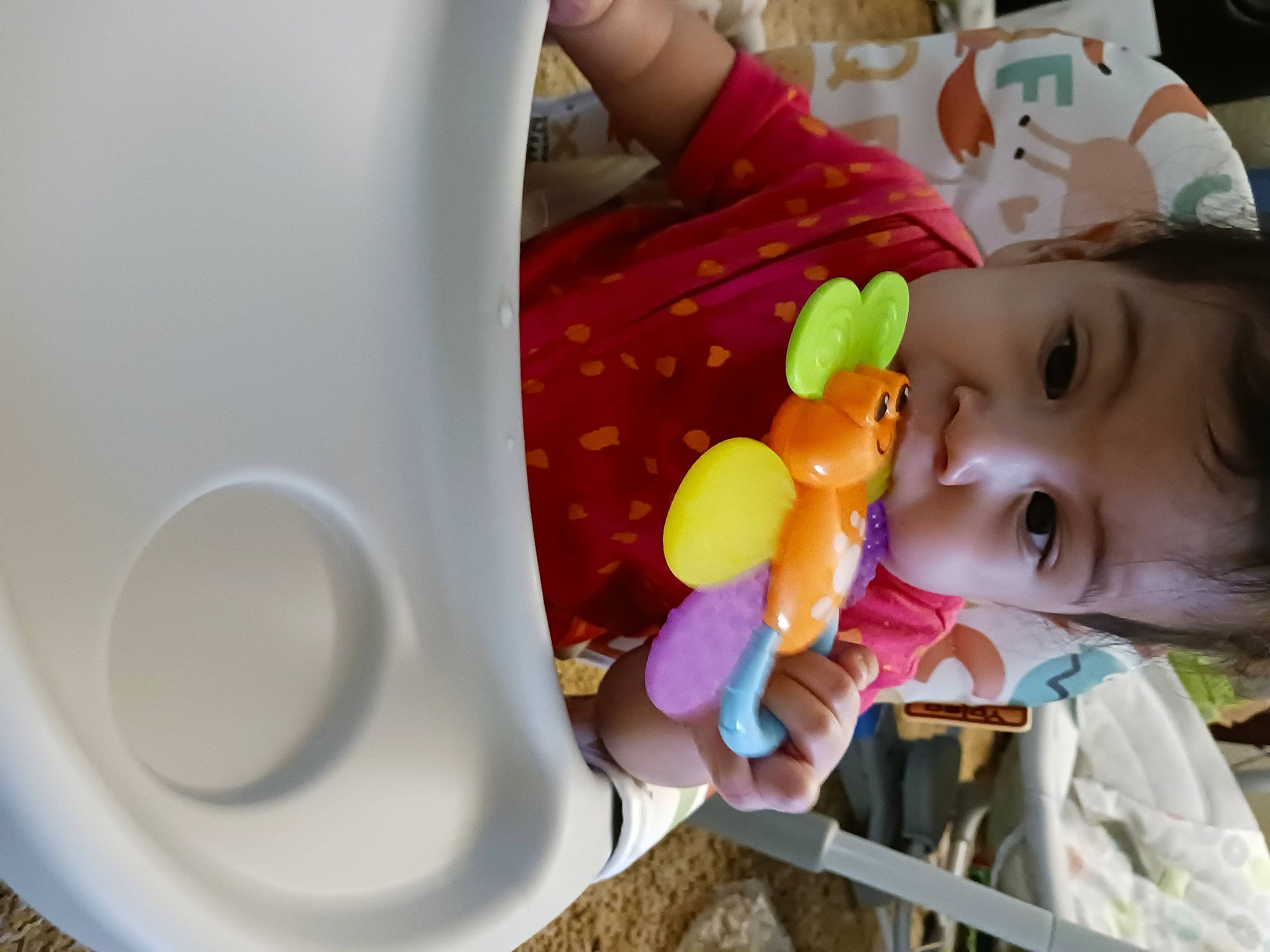 Marina is registered to the contest to win money with this photo: baby, baby_playing_with_toys, baby_products, baby_toys, child, cup, dishware, drinkware, fun, happy, household_supply, person, plastic, plumbing, plumbing_fixture, room, serveware, smile, toddler, toilet