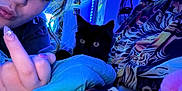 Thelma Bleu joined the competition — help win amazing prizes! person, cat, black_cat, bed, blanket, bedding, nail_art, hand, indoor, blue_light, decor, pillow, face, fur, eye, bedroom, cozy, pattern, gesture, portrait