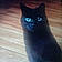 Salem