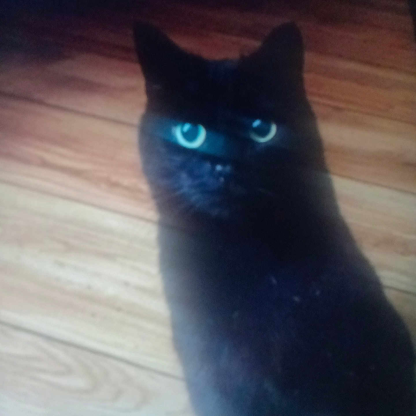 Salem