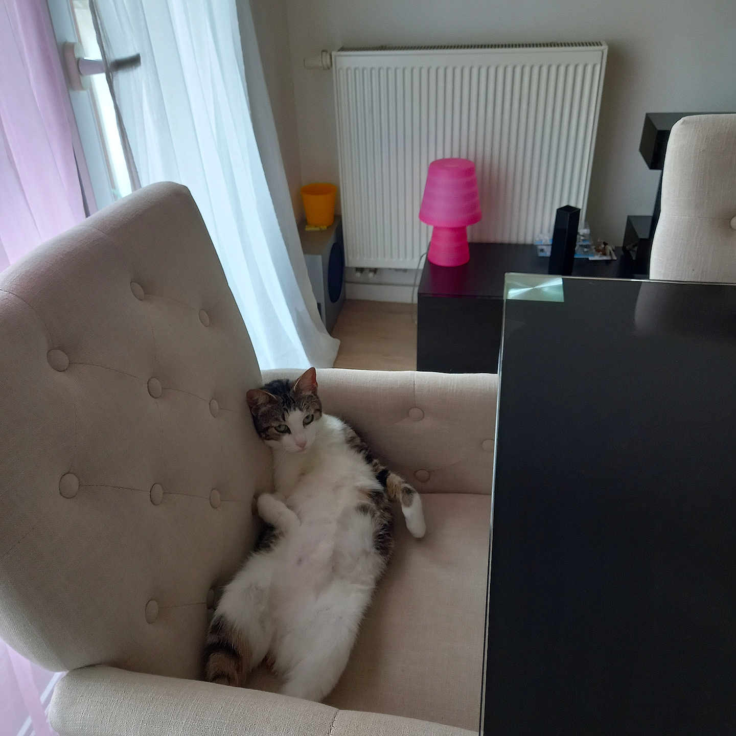 Ilona