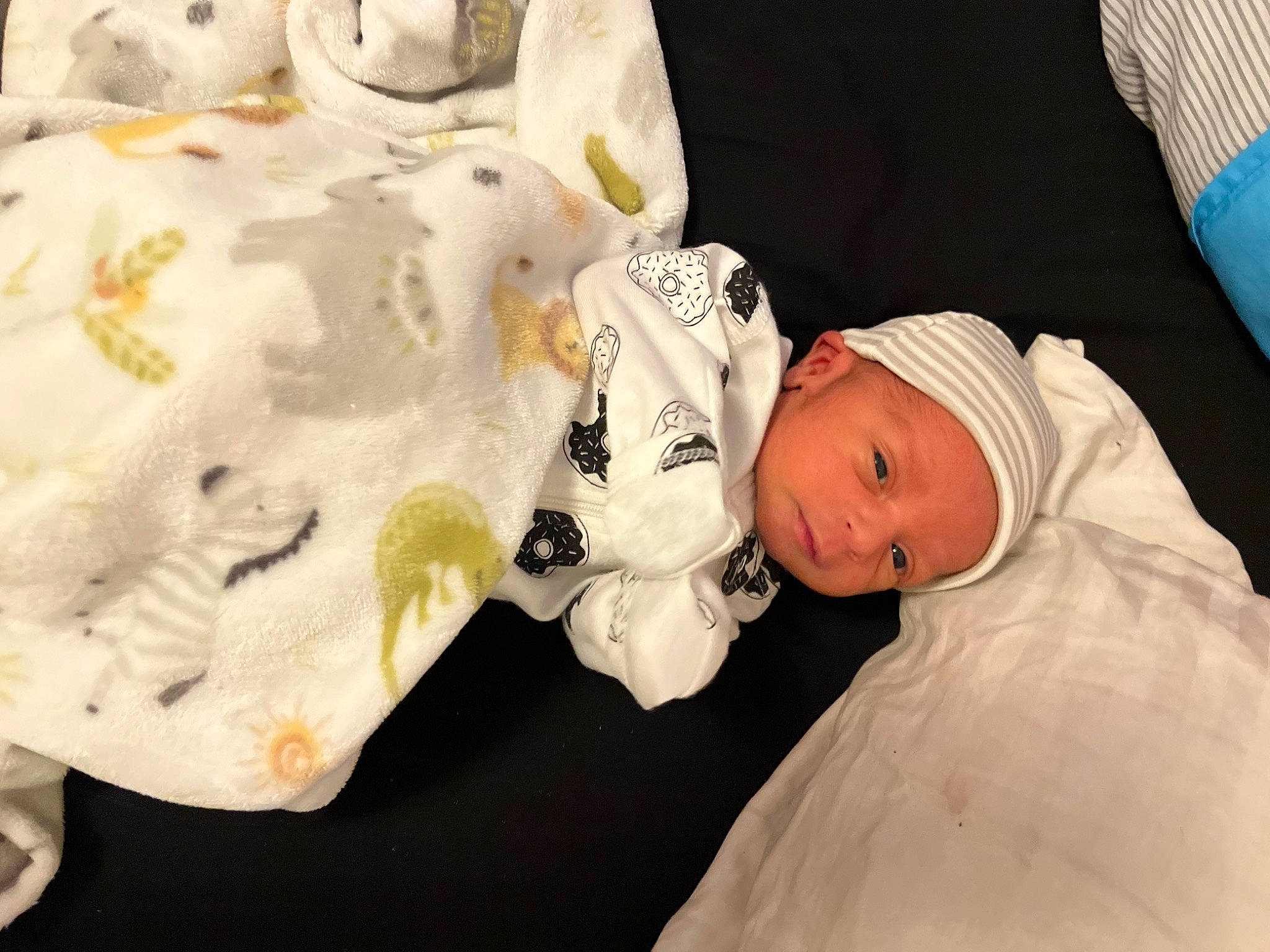 Dante joined the competition — help win amazing prizes! baby, baby_products, baby_safety, baby_toddler_clothing, bone, child, comfort, fur, hat, head, headwear, linens, person, room, skin, sleeve, stuffed_toy, toddler