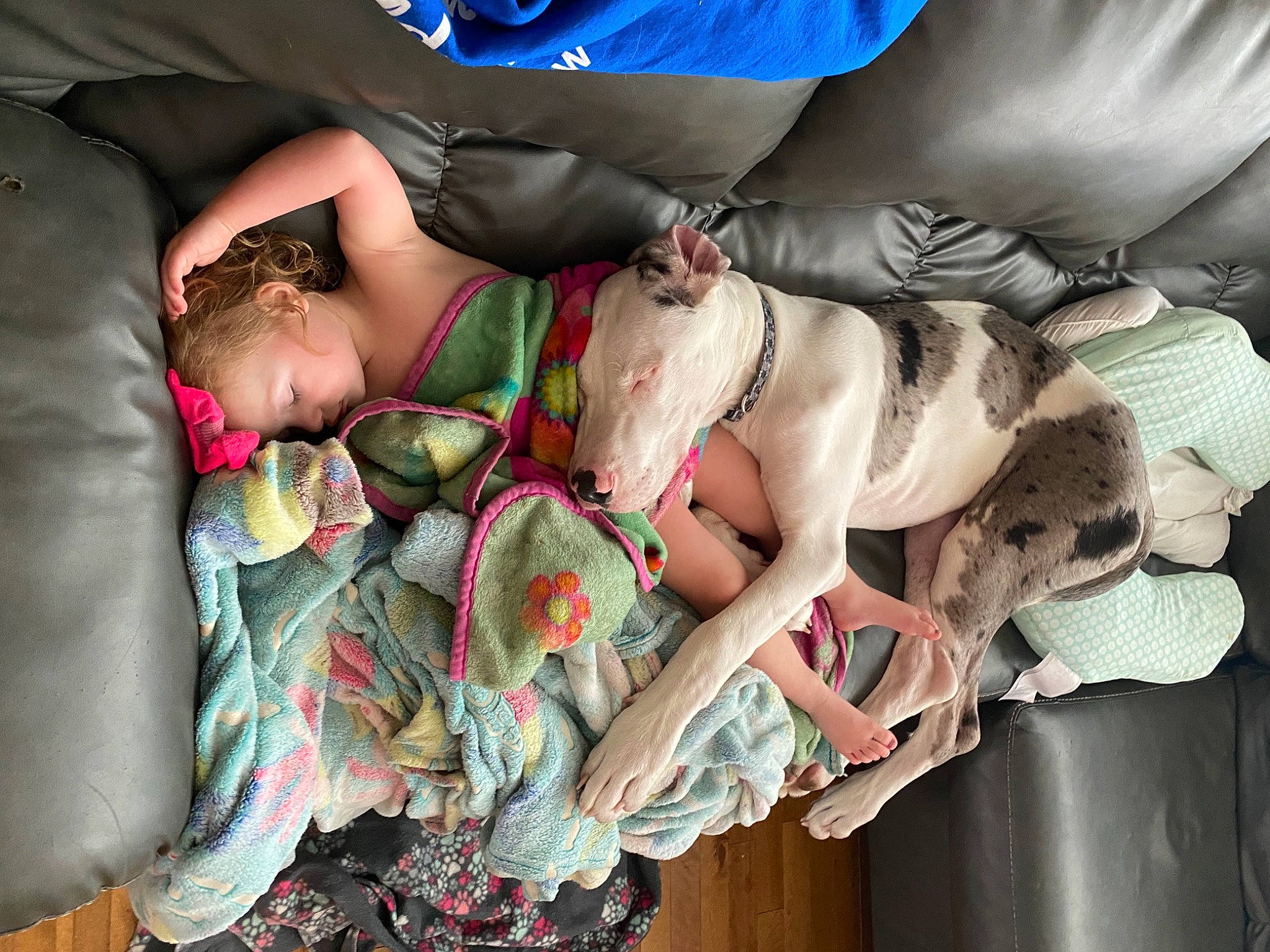 Klover is registered to the contest to win money with this photo: abdomen, arm, blue, chest, comfort, doll, event, fictional_character, fun, human_body, human_leg, lap, leg, linens, mouth, person, shorts, sitting, thigh, toy