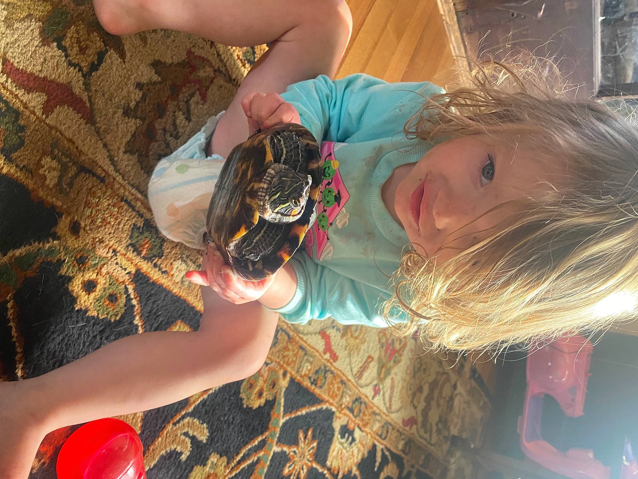 Klover is registered to the contest to win money with this photo: child, event, fashion_accessory, finger, fish, fun, glass, grass, happy, nail, organism, pattern, people_in_nature, person, reptile, smile, soil, toddler, visual_arts, wrist