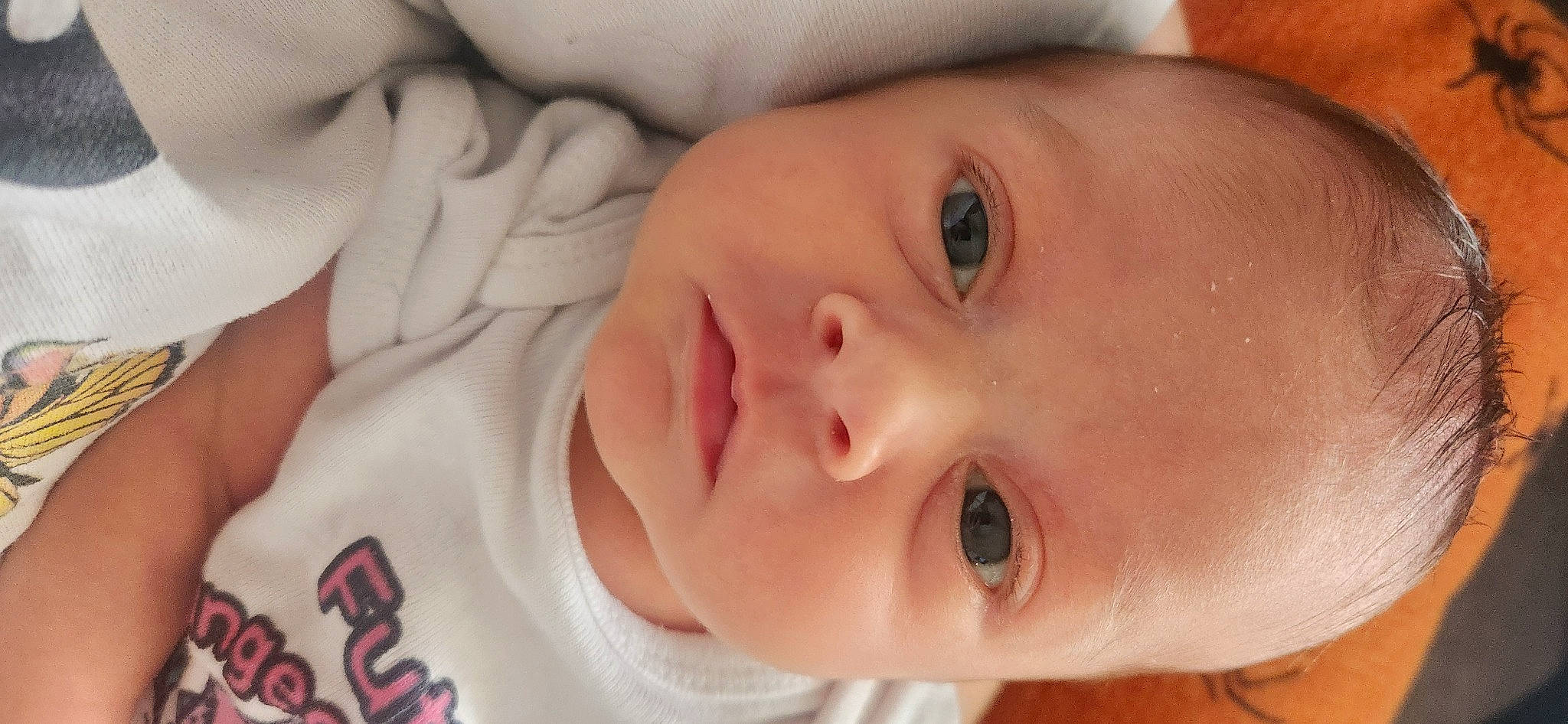 Sabrina is registered to the contest to win money with this photo: baby, baby_toddler_clothing, cheek, child, comfort, ear, eyebrow, eyelash, forehead, happy, iris, lip, mouth, nose, organ, person, product, skin, smile, toddler