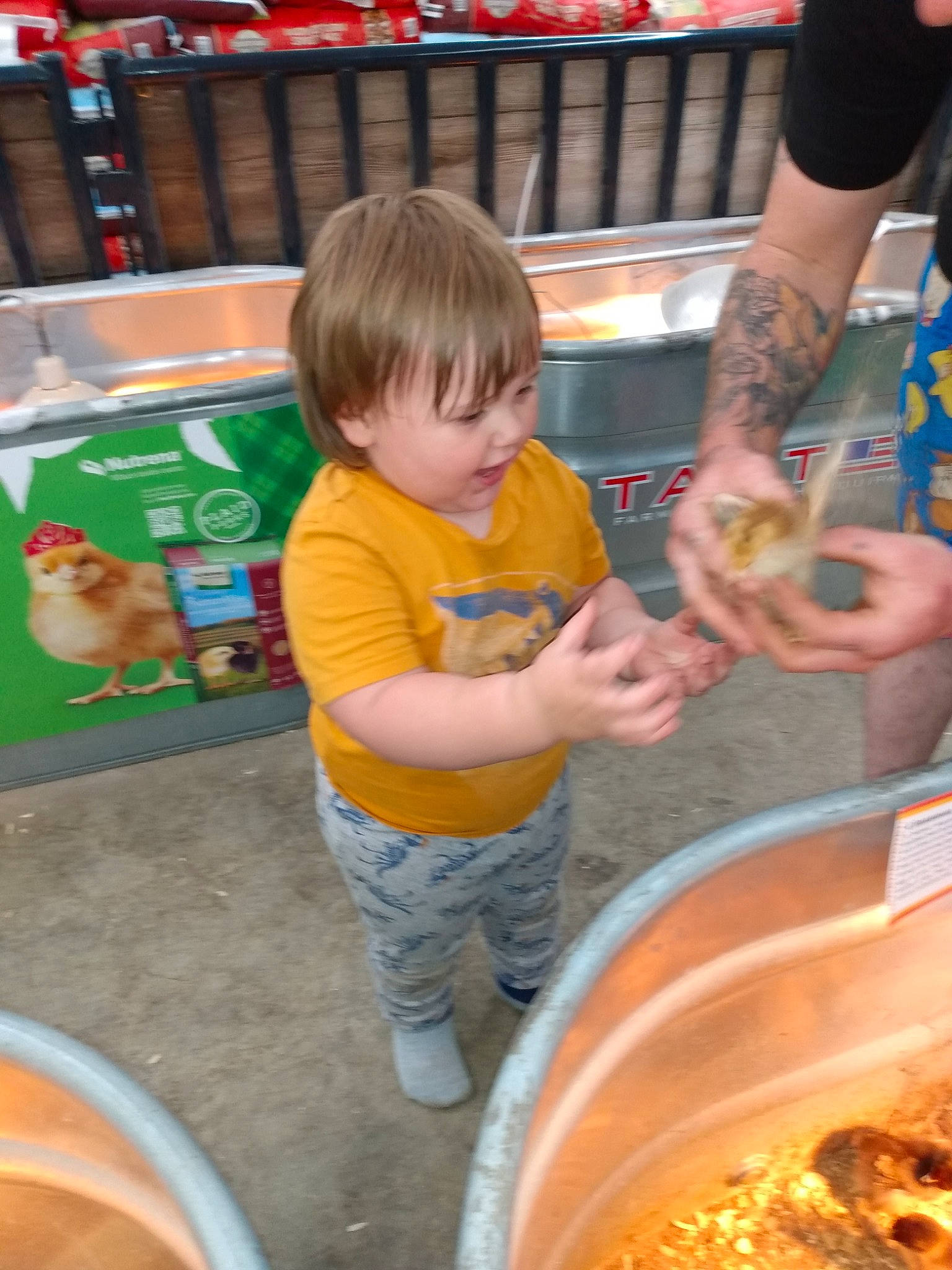 Noah is registered to the contest to win money with this photo: chair, child, cooking, cuisine, dish, event, food, fun, ingredient, leisure, person, photograph, play, recipe, recreation, sharing, shorts, smile, snapshot, t_shirt