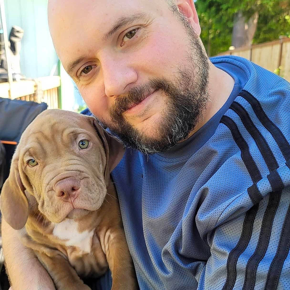 Sako joined the competition — help win amazing prizes! beard, canidae, carnivore, companion_dog, dog, dog_breed, ear, eye, facial_hair, fawn, fur, happy, hat, head, moustache, selfie, smile, tartan, working_animal, wrinkle