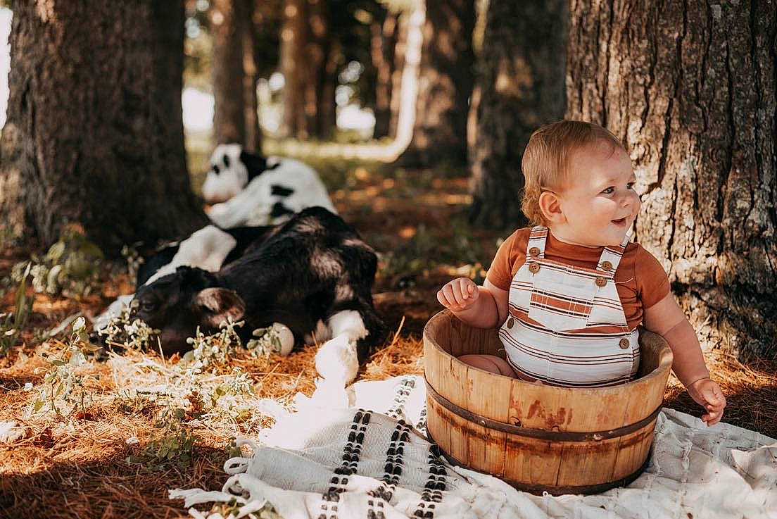 Koa joined the competition — help win amazing prizes! baby, basket, child, companion_dog, forest, fun, grass, happy, leisure, people_in_nature, person, plant, recreation, sitting, smile, terrestrial_animal, toddler, tree, trunk, wood