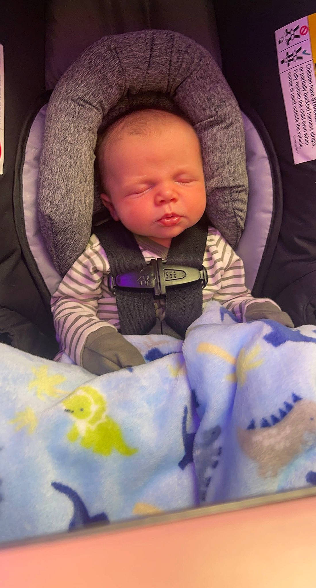 Matthew is registered to the contest to win money with this photo: baby, baby_carriage, baby_in_car_seat, baby_products, baby_safety, baby_sleeping, baby_toddler_clothing, car_seat, cheek, child, comfort, eye, fun, infant_bed, linens, nose, person, purple, sleeve, textile