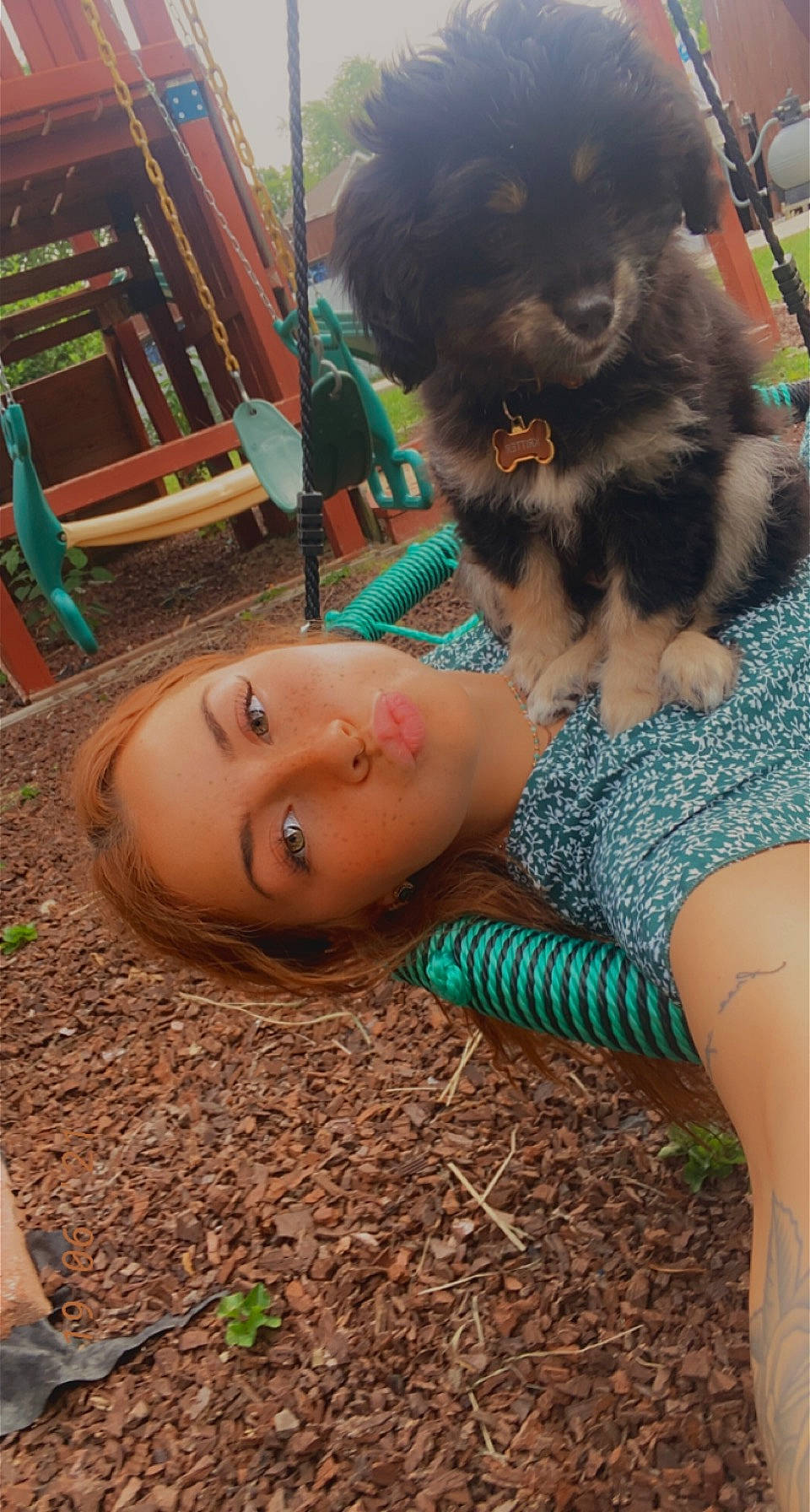 Kritter is registered to the contest to win money with this photo: black_hair, canidae, carnivore, chair, companion_dog, dog, dog_breed, fawn, fun, fur, grass, green, happy, human_leg, leisure, sitting, soil, sporting_group, thigh, toy_dog