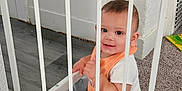 Zavion joined the competition — help win amazing prizes! baby, child, safety_gate, carpet, smile, indoor, floor, white_bars, clothing, orange_bib, gray_pants, person, cute, young_child, home, wall, door, vent, toy, flooring