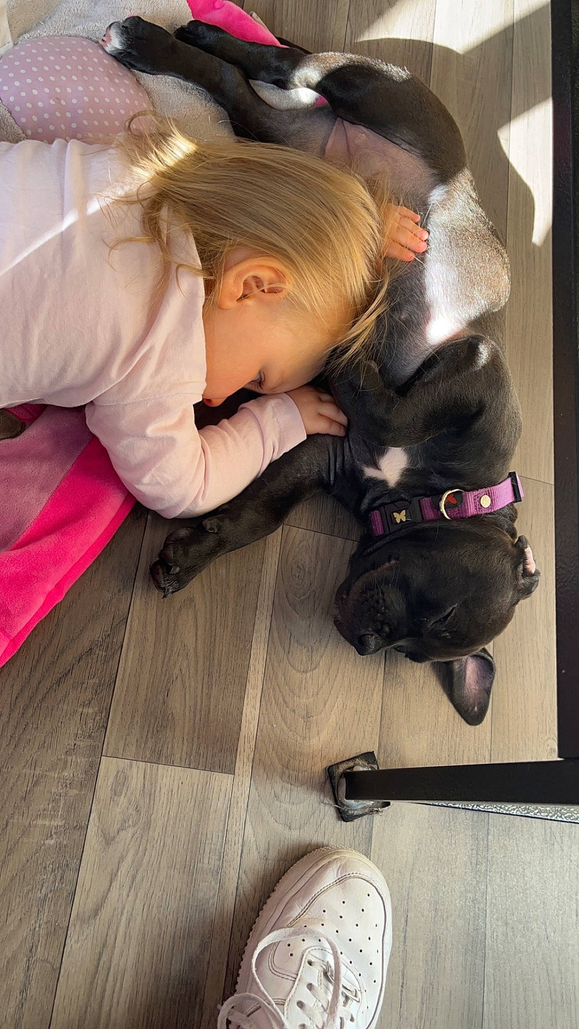 Maëllya a rejoint le concours — aidez-le/la à gagner de superbes lots ! brown_hair, child, comfort, companion_dog, eyewear, fashion_accessory, flooring, fun, fur, glove, hair_coloring, happy, human_leg, leg, magenta, person, room, sitting, toddler, tree