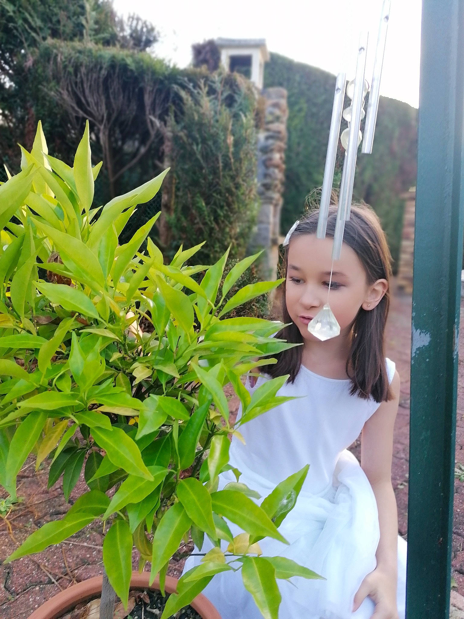 Eve participe au concours pour gagner de l'argent avec cette photo : arecales, bridal_accessory, bridal_clothing, bride, event, flower, flowering_plant, formal_wear, grass, happy, hemp_family, jewellery, leaf, person, plant, shrub, smile, terrestrial_plant, tree, wedding_dress