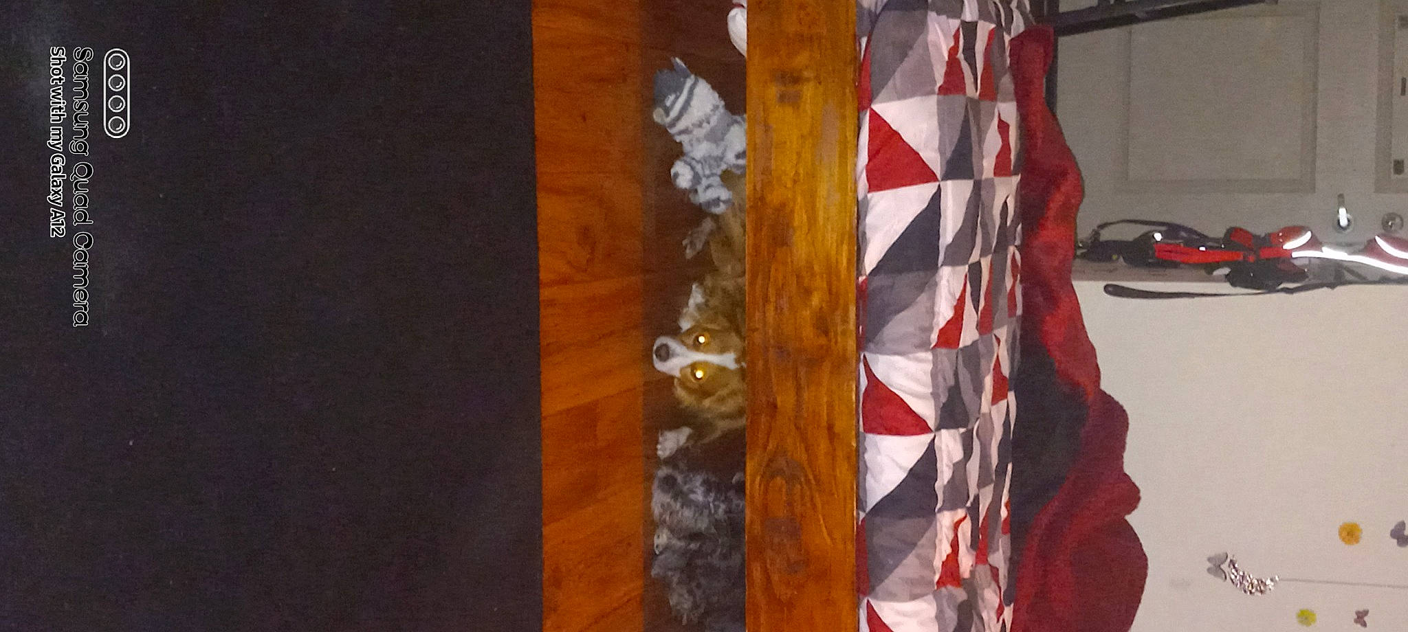 Bear Bear is registered to the contest to win money with this photo: art, carmine, curtain, fashion_accessory, flooring, hardwood, linens, paint, pattern, peach, rectangle, room, silk, stairs, tints_and_shades, tree, visual_arts, wood, wood_stain