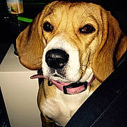 Happle a rejoint le concours — aidez-le/la à gagner de superbes lots !