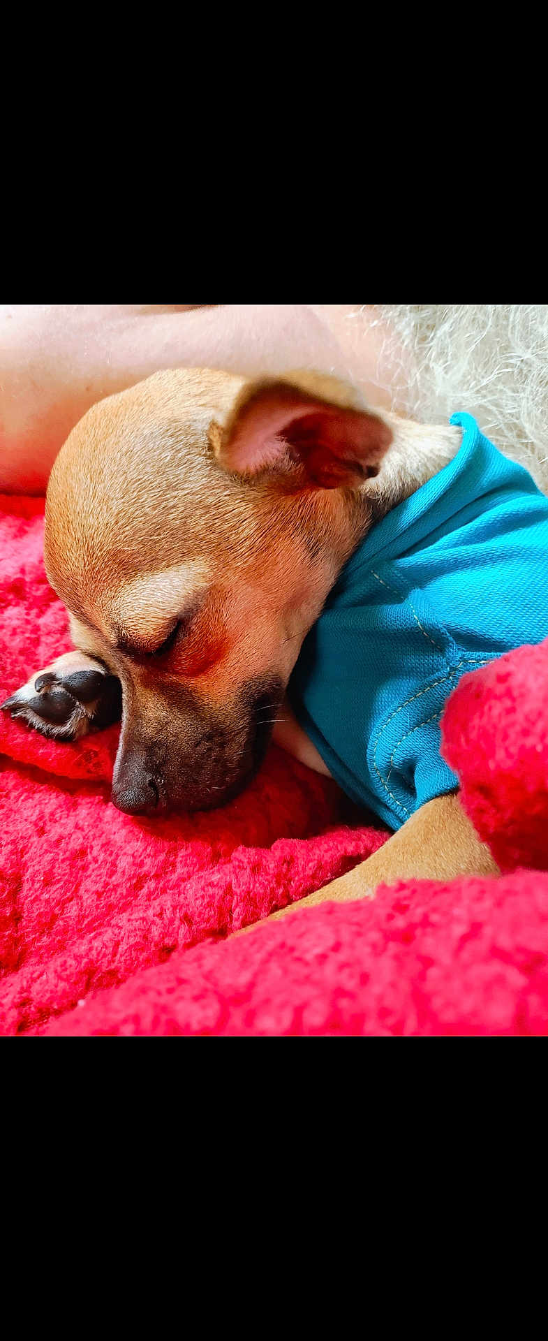 Paco
