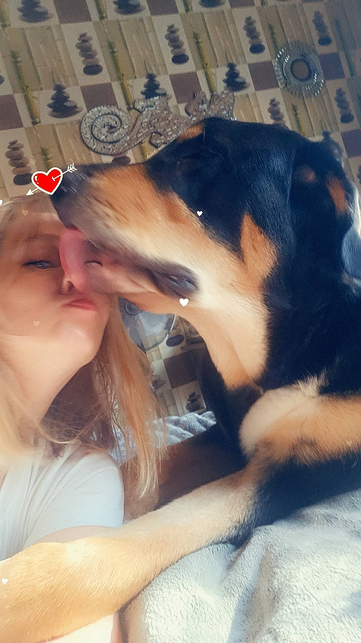 Léon a rejoint le concours — aidez-le/la à gagner de superbes lots ! canidae, carnivore, companion_dog, dog, dog_breed, fur, guard_dog, happy, paw, smile, snout, sporting_group, working_animal, working_dog