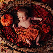 Leo joined the competition — help win amazing prizes! baby, newborn, sleeping, basket, pumpkin, autumn, fall_leaves, blanket, orange, red, wooden_floor, cozy, cute, infant, decor, plush, resting, child, indoor, portrait