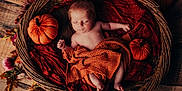 Leo joined the competition — help win amazing prizes! baby, newborn, sleeping, basket, pumpkin, autumn, fall_leaves, blanket, orange, red, wooden_floor, cozy, cute, infant, decor, plush, resting, child, indoor, portrait