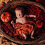 baby, newborn, sleeping, basket, pumpkin, autumn, fall_leaves, blanket, orange, red, wooden_floor, cozy, cute, infant, decor, plush, resting, child, indoor, portrait
