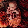 newborn, baby, sleeping, basket, blanket, pumpkin, autumn, fall_leaves, orange, cozy, cute, infant, resting, portrait, seasonal, decor, wood, peaceful, wrapped, soft
