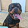 Arcanin