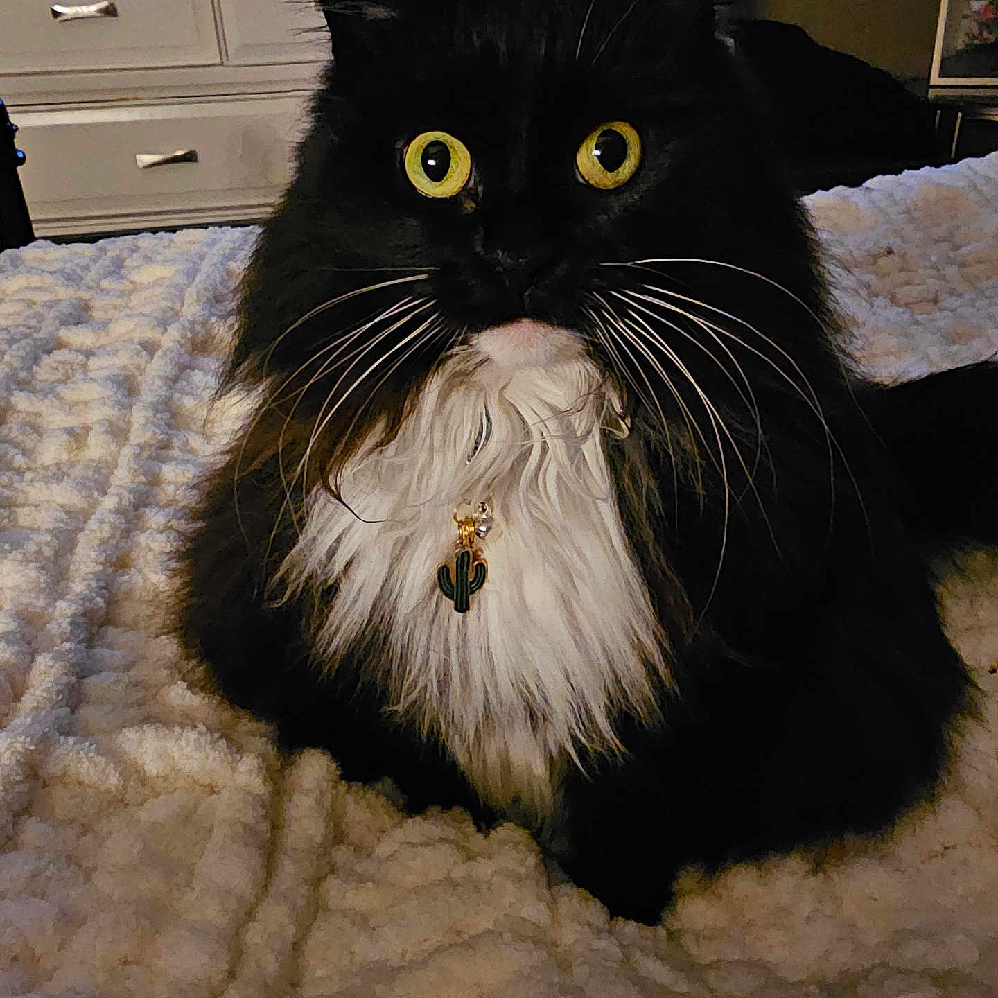 Lulu Mae