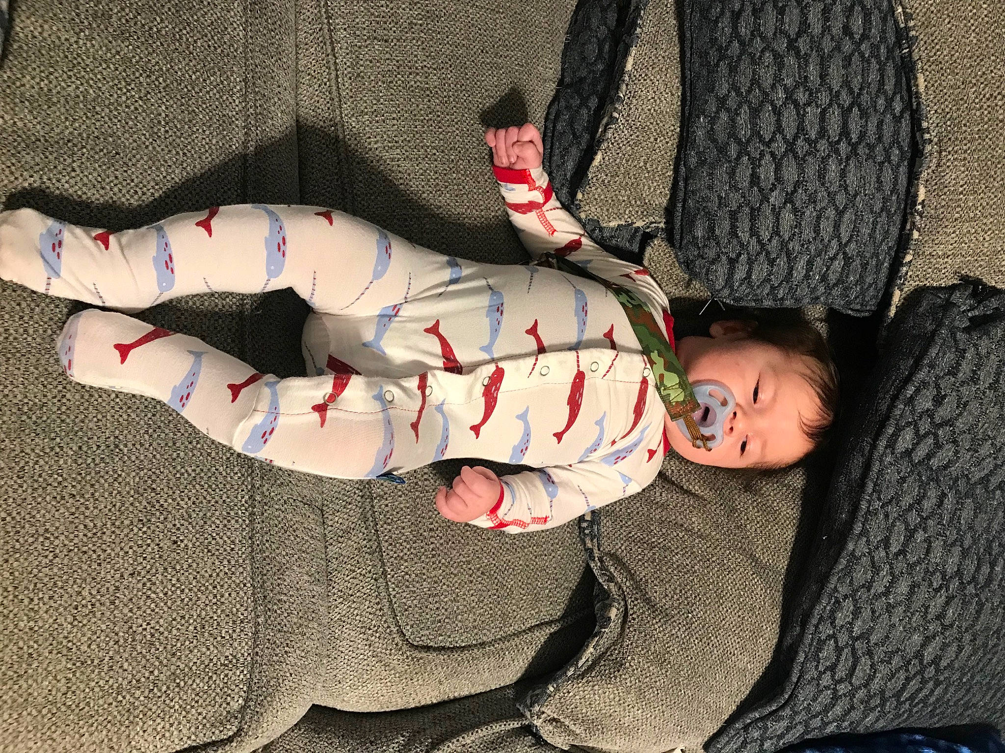 Waylynn is registered to the contest to win money with this photo: baby, baby_products, baby_toddler_clothing, carmine, child, comfort, human_leg, knee, lap, leg, nap, pattern, person, plaid, sitting, sleep, sleeve, sock, thigh, toddler