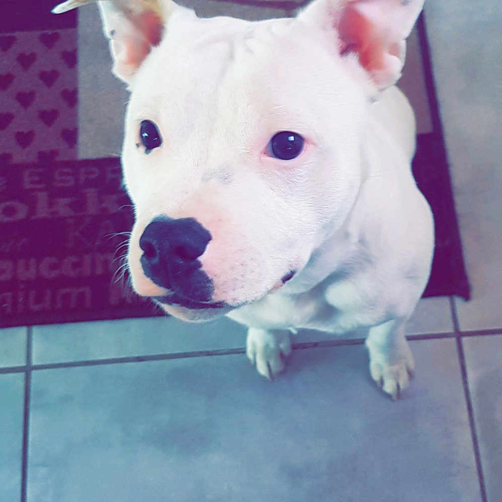 Pablo Escobar