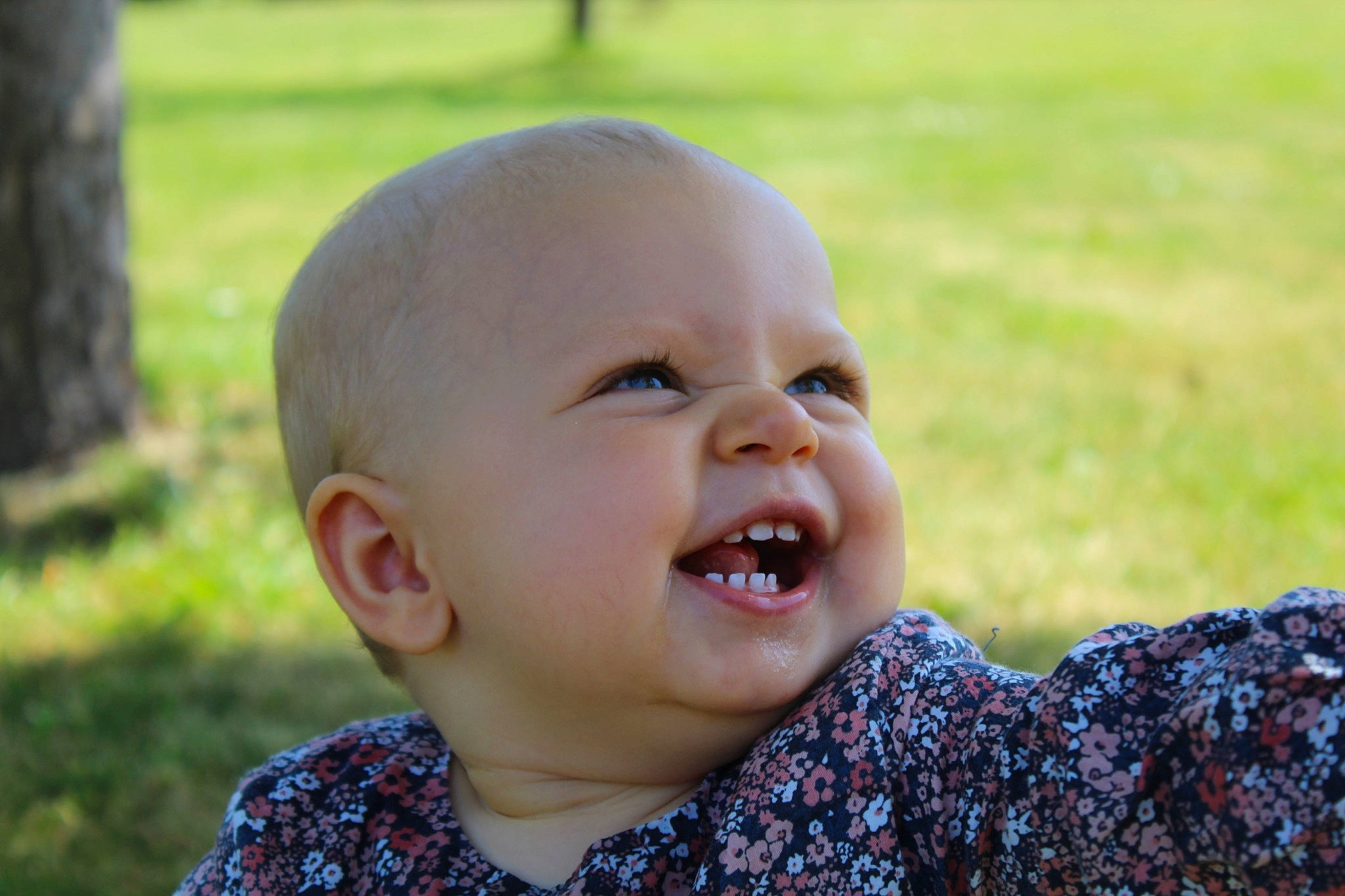 Kaïlye Rose a rejoint le concours — aidez-le/la à gagner de superbes lots ! baby, baby_laughing, cheek, child, close_up, eye, face, facial_expression, fun, grass, happy, head, laugh, lip, mouth, nose, person, skin, smile, summer