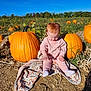 Leila joined the competition — help win amazing prizes! autumn, baby, blanket, child, cute, daylight, fall, field, greenery, nature, outdoor, pink_clothing, plants, portrait, pumpkin, pumpkin_patch, sitting, socks, soil, sunny