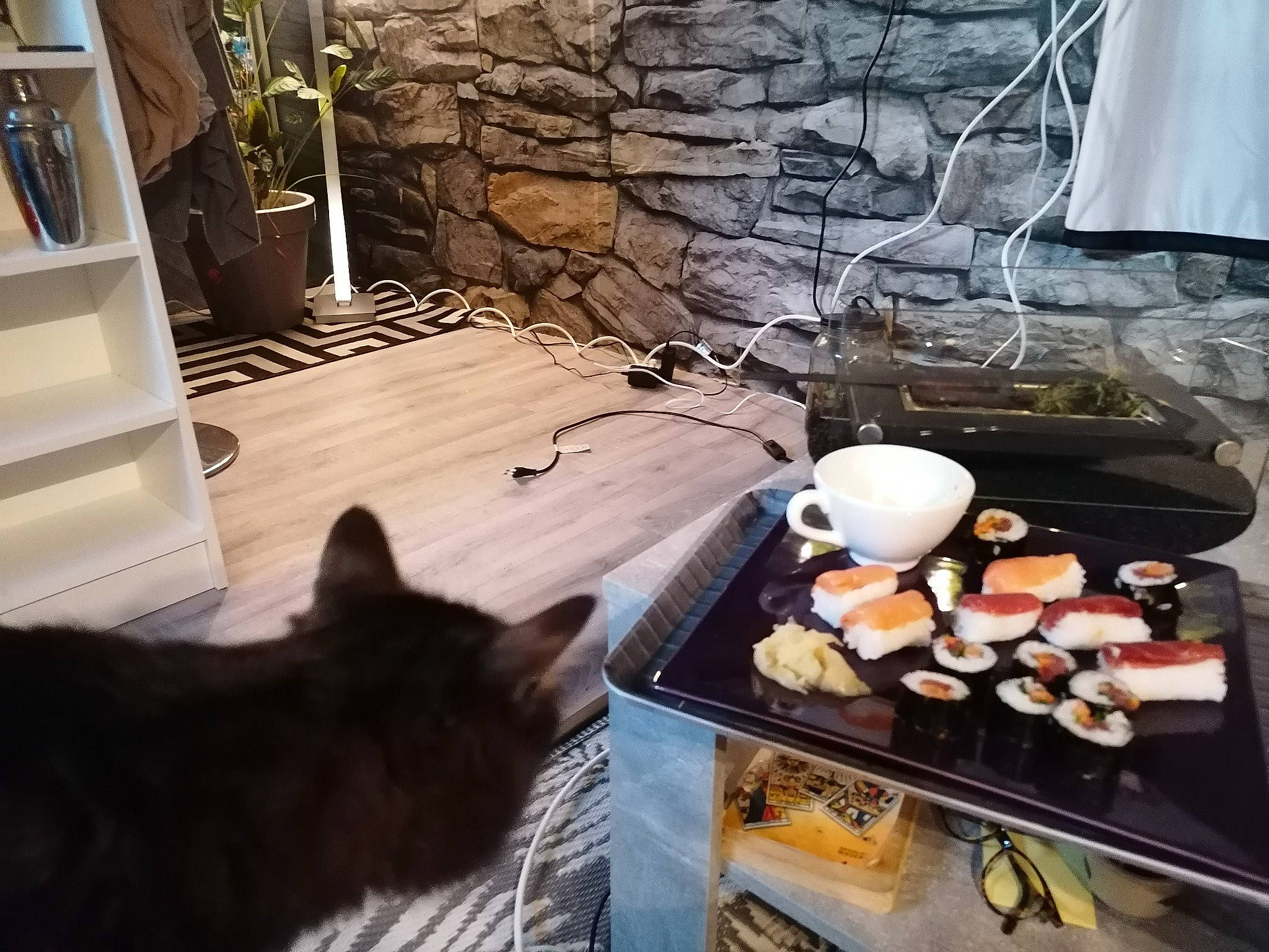 Aramis participe au concours pour gagner de l'argent avec cette photo : carnivore, cat, cooking, cuisine, felidae, floor, flooring, food, gas, hardwood, ingredient, interior_design, plant, recipe, small_to_medium_sized_cats, table, tail, tree, whiskers, wood